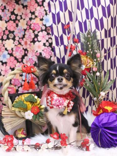 20250119天ちゃん